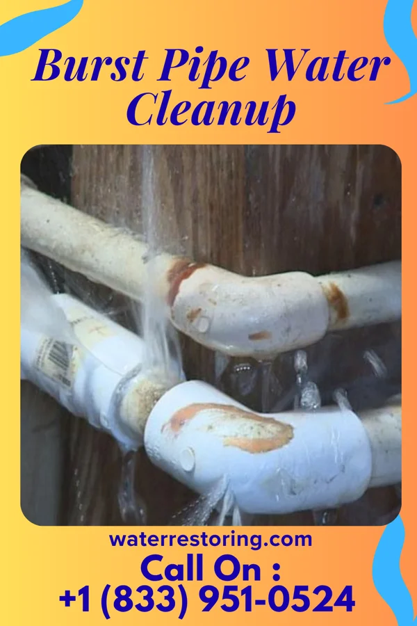 Burst Pipe Water Cleanup in Conejo, NM