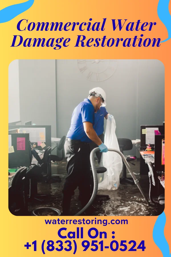 Commercial Water Damage Restoration in Conejo, NM