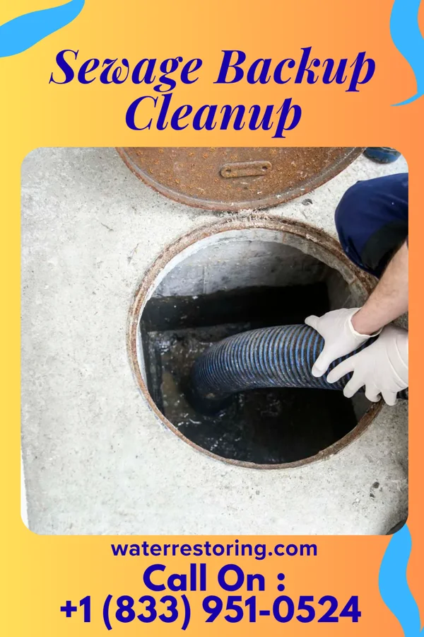 Sewage Backup Cleanup in Conejo, NM